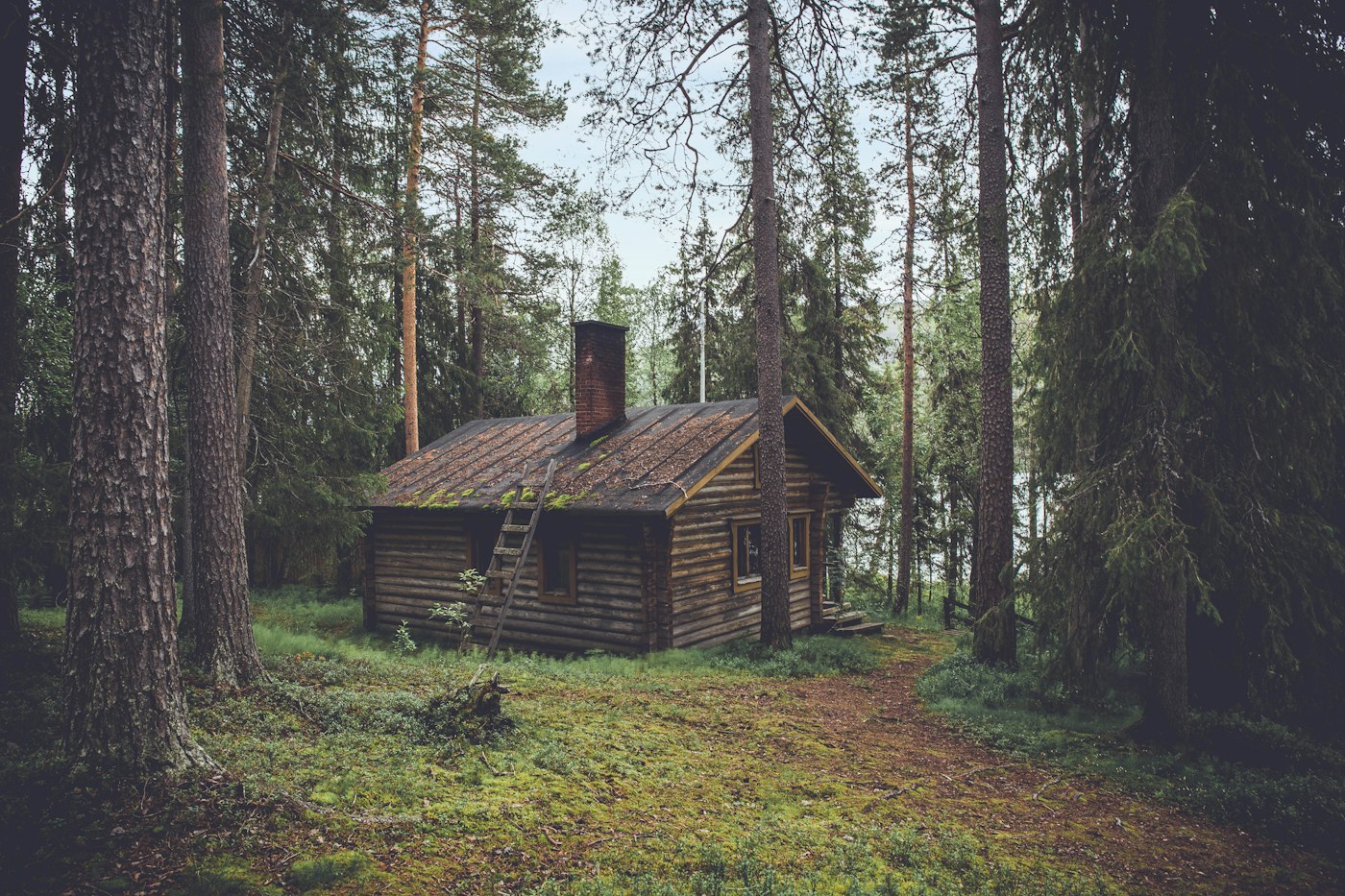 The Laurel Hideout stay inspiration